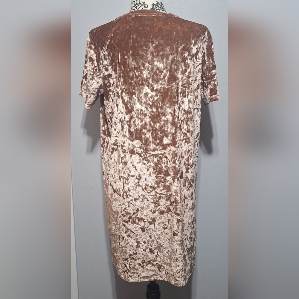 Med Velvet Brown Short Sleeve Dress - Picture 4 of 6